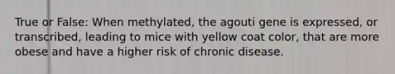 True or False: When methylated, the agouti gene is expressed, or transcribed, leading to mice with yellow coat color, that are more obese and have a higher risk of chronic disease.