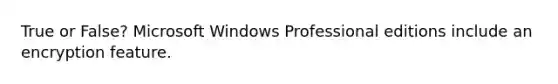 True or False? Microsoft Windows Professional editions include an encryption feature.