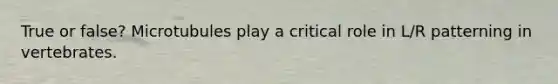 True or false? Microtubules play a critical role in L/R patterning in vertebrates.