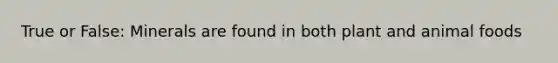 True or False: Minerals are found in both plant and animal foods