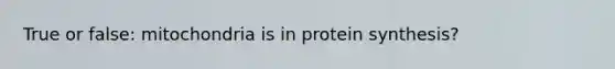 True or false: mitochondria is in protein synthesis?