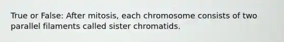 True or False: After mitosis, each chromosome consists of two parallel filaments called sister chromatids.