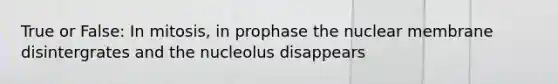 True or False: In mitosis, in prophase the nuclear membrane disintergrates and the nucleolus disappears