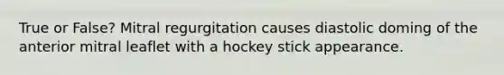 True or False? Mitral regurgitation causes diastolic doming of the anterior mitral leaflet with a hockey stick appearance.