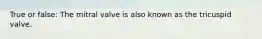 True or false: The mitral valve is also known as the tricuspid valve.