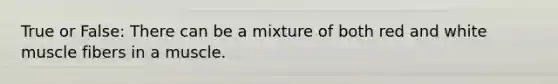 True or False: There can be a mixture of both red and white muscle fibers in a muscle.