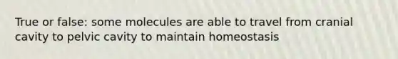 True or false: some molecules are able to travel from cranial cavity to pelvic cavity to maintain homeostasis