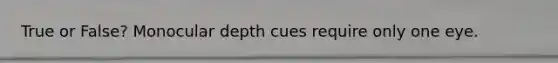 True or False? Monocular depth cues require only one eye.