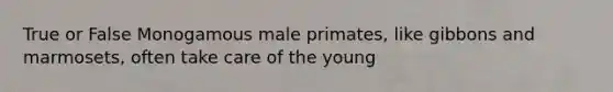 True or False Monogamous male primates, like gibbons and marmosets, often take care of the young