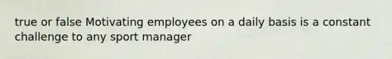 true or false Motivating employees on a daily basis is a constant challenge to any sport manager