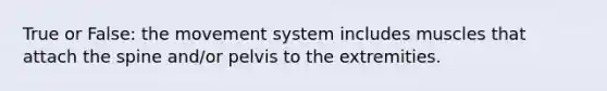 True or False: the movement system includes muscles that attach the spine and/or pelvis to the extremities.