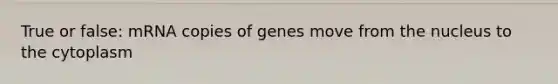 True or false: mRNA copies of genes move from the nucleus to the cytoplasm