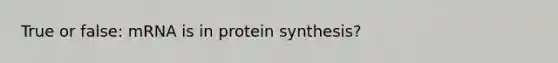 True or false: mRNA is in protein synthesis?