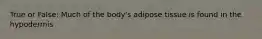 True or False: Much of the body's adipose tissue is found in the hypodermis