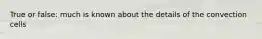 True or false: much is known about the details of the convection cells