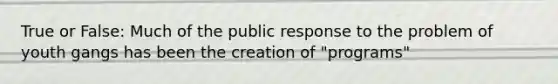 True or False: Much of the public response to the problem of youth gangs has been the creation of "programs"