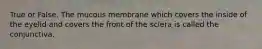 True or False. The mucous membrane which covers the inside of the eyelid and covers the front of the sclera is called the conjunctiva.