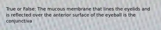 True or False: The mucous membrane that lines the eyelids and is reflected over the anterior surface of the eyeball is the conjunctiva