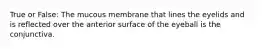 True or False: The mucous membrane that lines the eyelids and is reflected over the anterior surface of the eyeball is the conjunctiva.