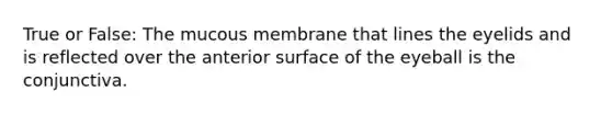 True or False: The mucous membrane that lines the eyelids and is reflected over the anterior surface of the eyeball is the conjunctiva.