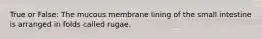 True or False: The mucous membrane lining of the small intestine is arranged in folds called rugae.
