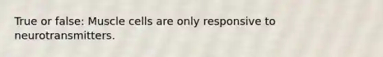 True or false: Muscle cells are only responsive to neurotransmitters.