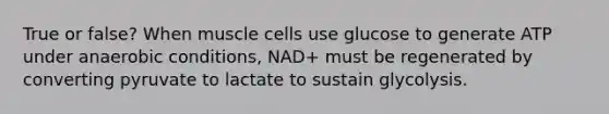 True or false? When muscle cells use glucose to generate ATP under anaerobic conditions, NAD+ must be regenerated by converting pyruvate to lactate to sustain glycolysis.