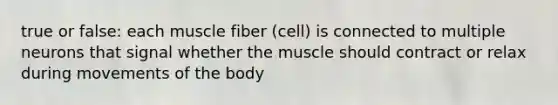 true or false: each muscle fiber (cell) is connected to multiple neurons that signal whether the muscle should contract or relax during movements of the body