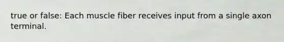 true or false: Each muscle fiber receives input from a single axon terminal.