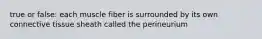 true or false: each muscle fiber is surrounded by its own connective tissue sheath called the perineurium
