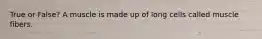True or False? A muscle is made up of long cells called muscle fibers.