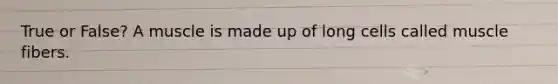 True or False? A muscle is made up of long cells called muscle fibers.