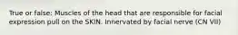 True or false: Muscles of the head that are responsible for facial expression pull on the SKIN. Innervated by facial nerve (CN VII)