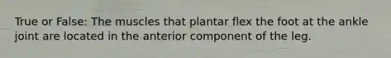 True or False: The muscles that plantar flex the foot at the ankle joint are located in the anterior component of the leg.