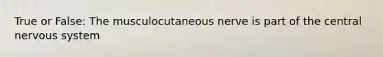 True or False: The musculocutaneous nerve is part of the central nervous system