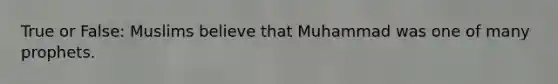 True or False: Muslims believe that Muhammad was one of many prophets.