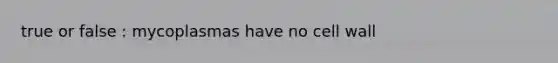true or false : mycoplasmas have no cell wall