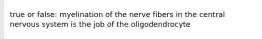 true or false: myelination of the nerve fibers in the central nervous system is the job of the oligodendrocyte