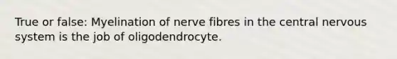 True or false: Myelination of nerve fibres in the central nervous system is the job of oligodendrocyte.