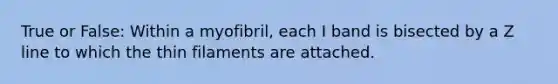 True or False: Within a myofibril, each I band is bisected by a Z line to which the thin filaments are attached.