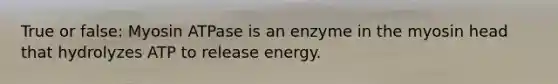 True or false: Myosin ATPase is an enzyme in the myosin head that hydrolyzes ATP to release energy.