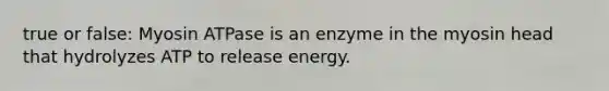 true or false: Myosin ATPase is an enzyme in the myosin head that hydrolyzes ATP to release energy.