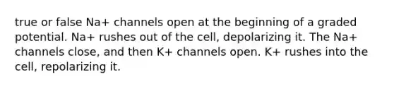 true or false Na+ channels open at the beginning of a graded potential. Na+ rushes out of the cell, depolarizing it. The Na+ channels close, and then K+ channels open. K+ rushes into the cell, repolarizing it.