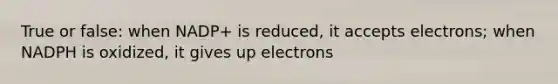 True or false: when NADP+ is reduced, it accepts electrons; when NADPH is oxidized, it gives up electrons