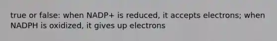 true or false: when NADP+ is reduced, it accepts electrons; when NADPH is oxidized, it gives up electrons