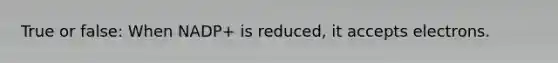 True or false: When NADP+ is reduced, it accepts electrons.