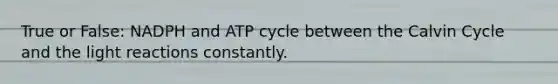 True or False: NADPH and ATP cycle between the Calvin Cycle and the <a href='https://www.questionai.com/knowledge/kSUoWrrvoC-light-reactions' class='anchor-knowledge'>light reactions</a> constantly.