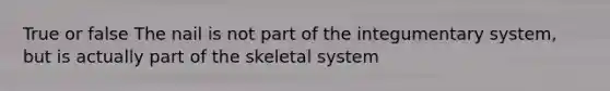 True or false The nail is not part of the integumentary system, but is actually part of the skeletal system