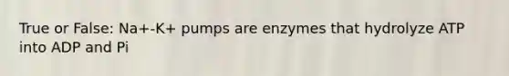 True or False: Na+-K+ pumps are enzymes that hydrolyze ATP into ADP and Pi