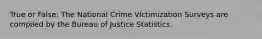 True or False: The National Crime Victimization Surveys are compiled by the Bureau of Justice Statistics.